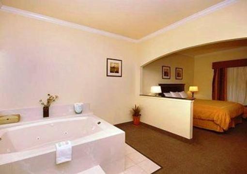 фото отеля Comfort Suites Aggieland