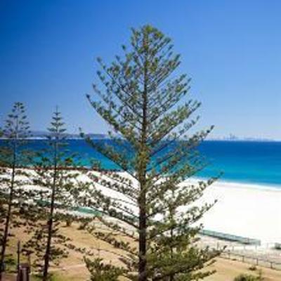 фото отеля Mantra Coolangatta Beach Resort Gold Coast