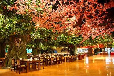 фото отеля Sweetland Hotel