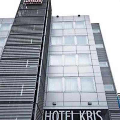 фото отеля Hotel Kris Parque Astur