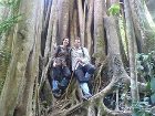 фото отеля Bobbys Apartment and Jungle Tours