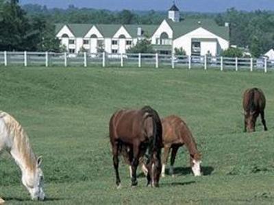 фото отеля Shenandoah Crossing