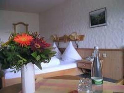фото отеля Hotel Winterhaldenhof Schenkenzell