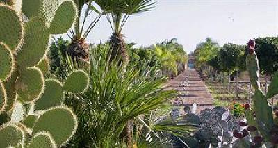 фото отеля Terra Mia Marrakech