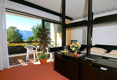 фото отеля Hotel Ludwig Am Seidlpark