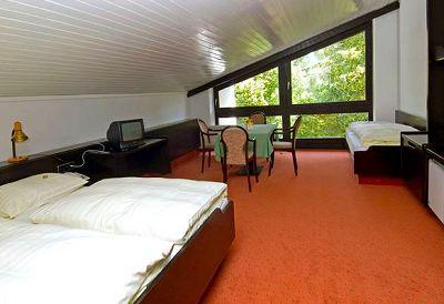 фото отеля Hotel Ludwig Am Seidlpark