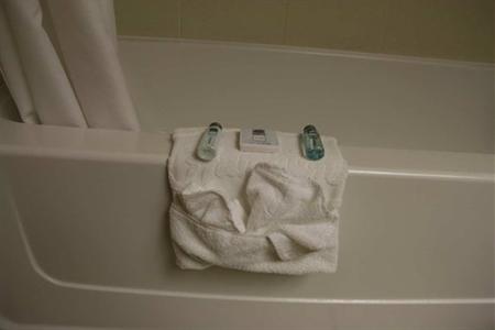 фото отеля Hampton Inn Cedar Rapids