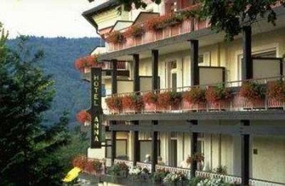 фото отеля Hotel Anna Badenweiler