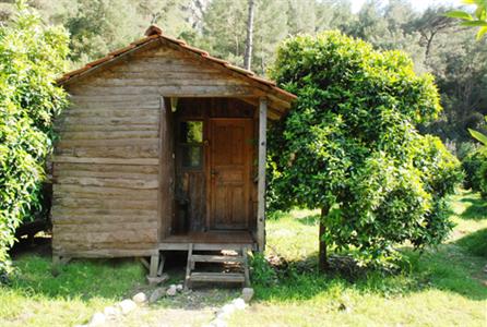 фото отеля Olympos Deep Green Bungalows