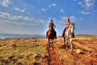 фото отеля Vered Hagalil Holiday Village Hotel