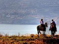 Vered Hagalil Holiday Village Hotel