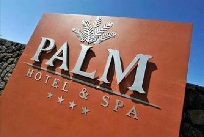 фото отеля Palm Hotel & Spa