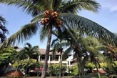 фото отеля Gem Beach Resort