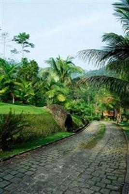 фото отеля Pousada Bromelias