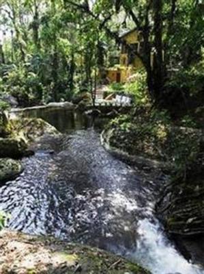 фото отеля Pousada Bromelias