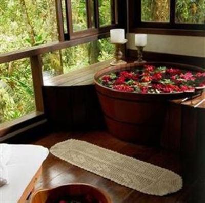 фото отеля Pousada Bromelias