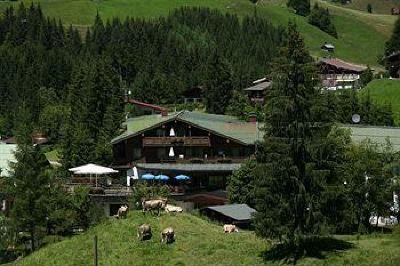 фото отеля IFA Hotel Alpenhof Wildental