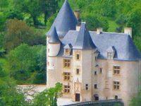 Le Chateau de Saint Martory