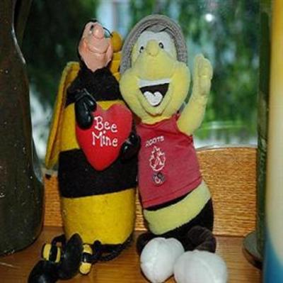 фото отеля Beez Kneez Bakpakers Hostel