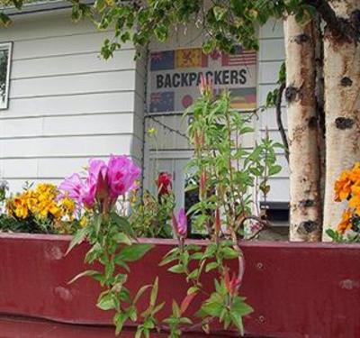 фото отеля Beez Kneez Bakpakers Hostel