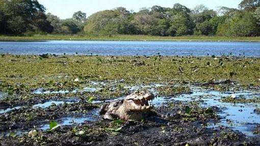 фото отеля Pantanal Santa Clara
