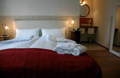 фото отеля Hotel Palmenbad