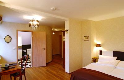 фото отеля Hotel Palmenbad