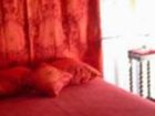 фото отеля La Herissonniere