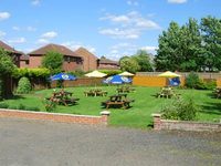 The Greyhound
