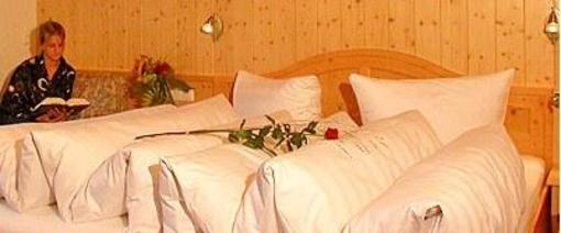 фото отеля Hotel Garni Alpina Damuls