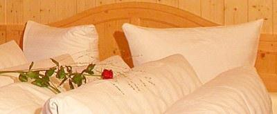 фото отеля Hotel Garni Alpina Damuls