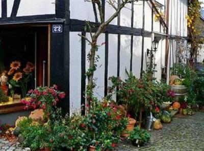 фото отеля Siegerland-Hotel Haus im Walde