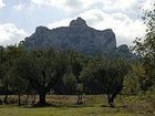 фото отеля Villa Glanum Hotel Saint-Remy-de-Provence