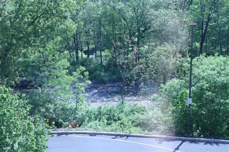 фото отеля Hampton Inn Stroudsburg / Poconos
