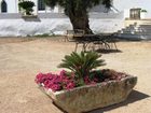 фото отеля Masseria Rienzo