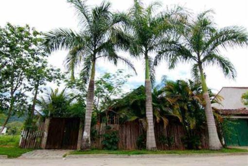 фото отеля Casa de Bambu