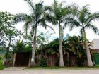 фото отеля Casa de Bambu