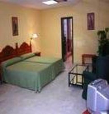 фото отеля Hotel Triunfo Granada Sur