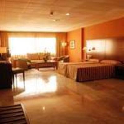 фото отеля Hotel Triunfo Granada Sur