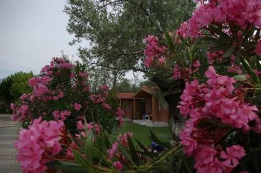 фото отеля Kervan Tatil Koyu