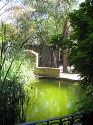 фото отеля Crocodile Lodge