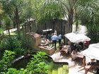 фото отеля Crocodile Lodge
