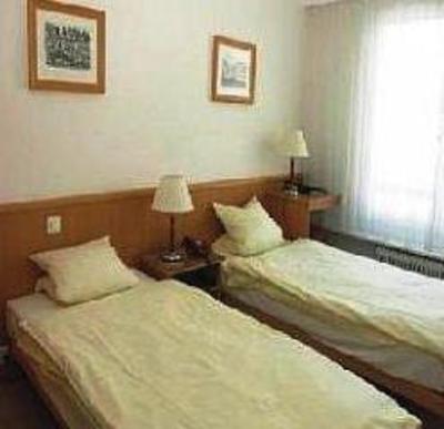 фото отеля Hotel Alpesgruyere