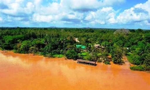 фото отеля Bilit Rainforest Lodge