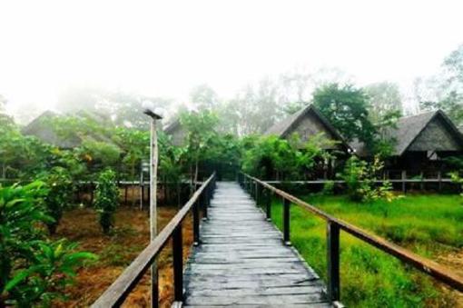 фото отеля Bilit Rainforest Lodge