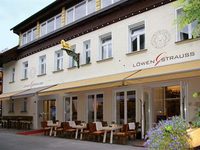 Alpine Lifestyle Hotel Lowen & Strauss