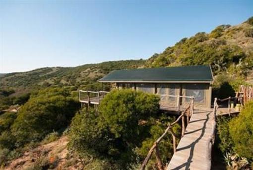 фото отеля Hillsnek Safaris