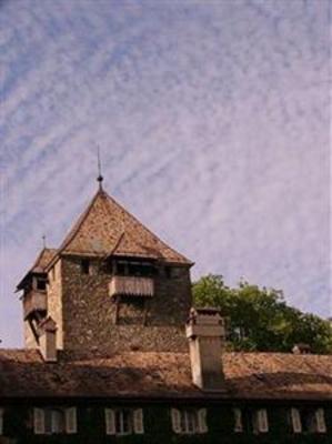 фото отеля Chateau de Coudree Sciez