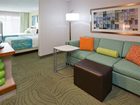 фото отеля SpringHill Suites Mayo Clinic Area/St. Mary's