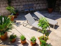 Divota Rooms